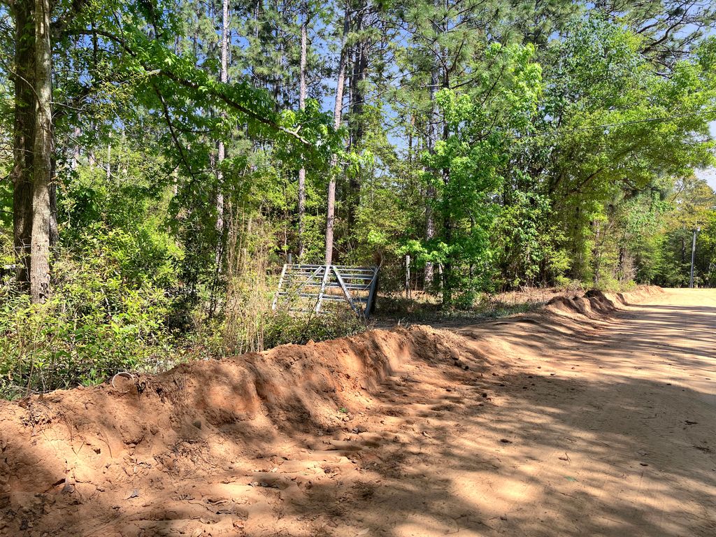 Photo of 8240 Truman Avenue, Aiken, SC 29803 (MLS # 554318)