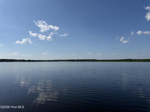 Vacant Land For Sale - 584 S Horsepen Drive<br/> Bladen County, Harrells, NC 28444