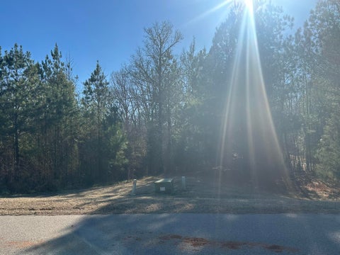 Vacant Land For Sale - 781 William Avenue<br/> Appling, GA 30802