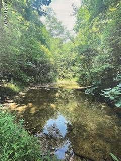 Vacant Land For Sale - 6 Hidden Lakes Road<br/> Macon County, Topton, NC 28781