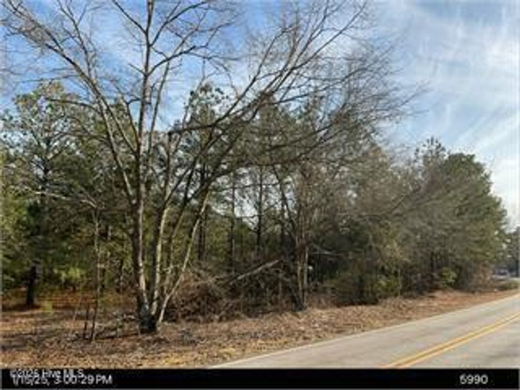 Photo of 00 Moose Club Road, Thomson, GA 30824 (MLS # 100574977)
