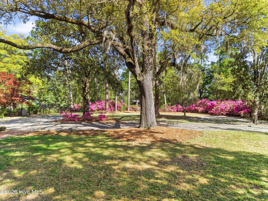 Photo of 2901 Oleander Drive, Wilmington, NC 28403 (MLS # 100609766)