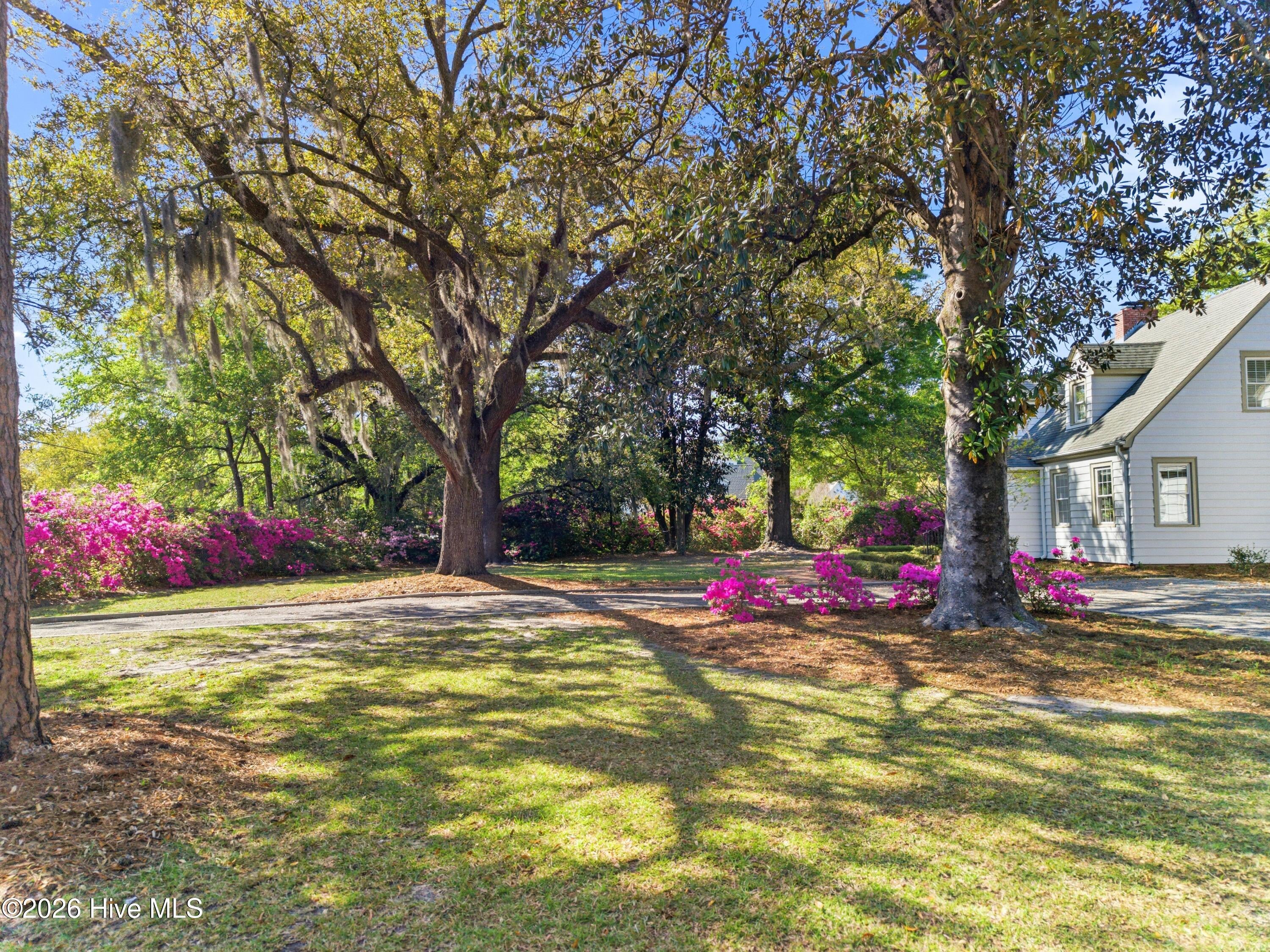 2901 Oleander Drive