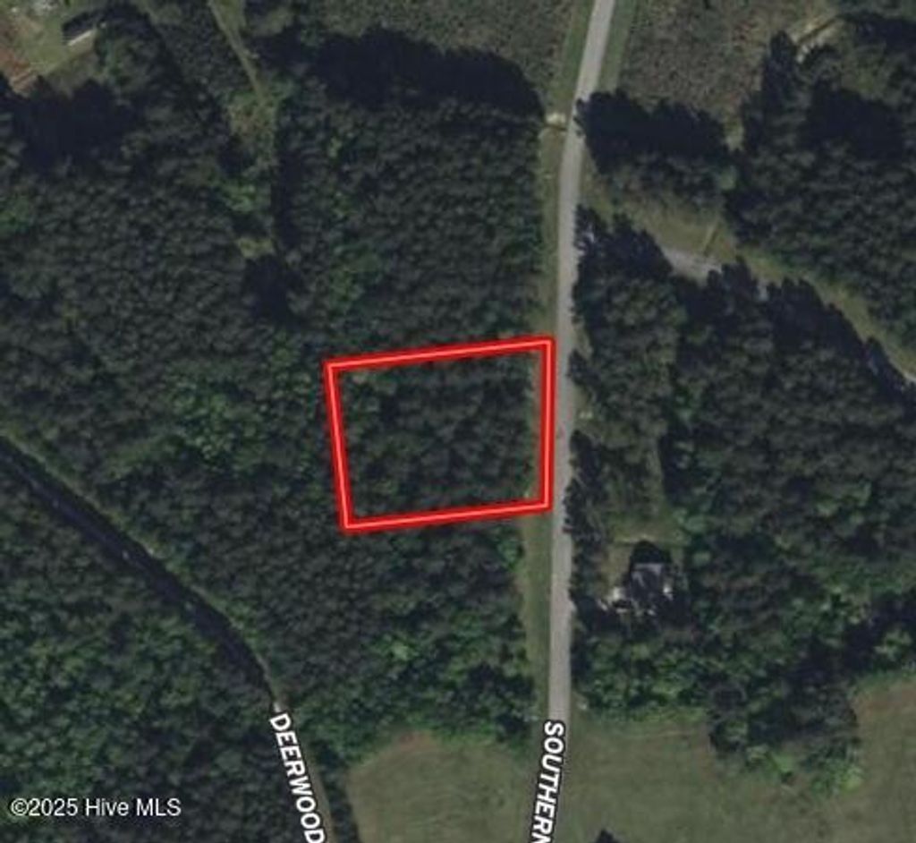 Photo of 578 Southern Plantation Drive S, Oriental, NC 28571 (MLS # 100544893)