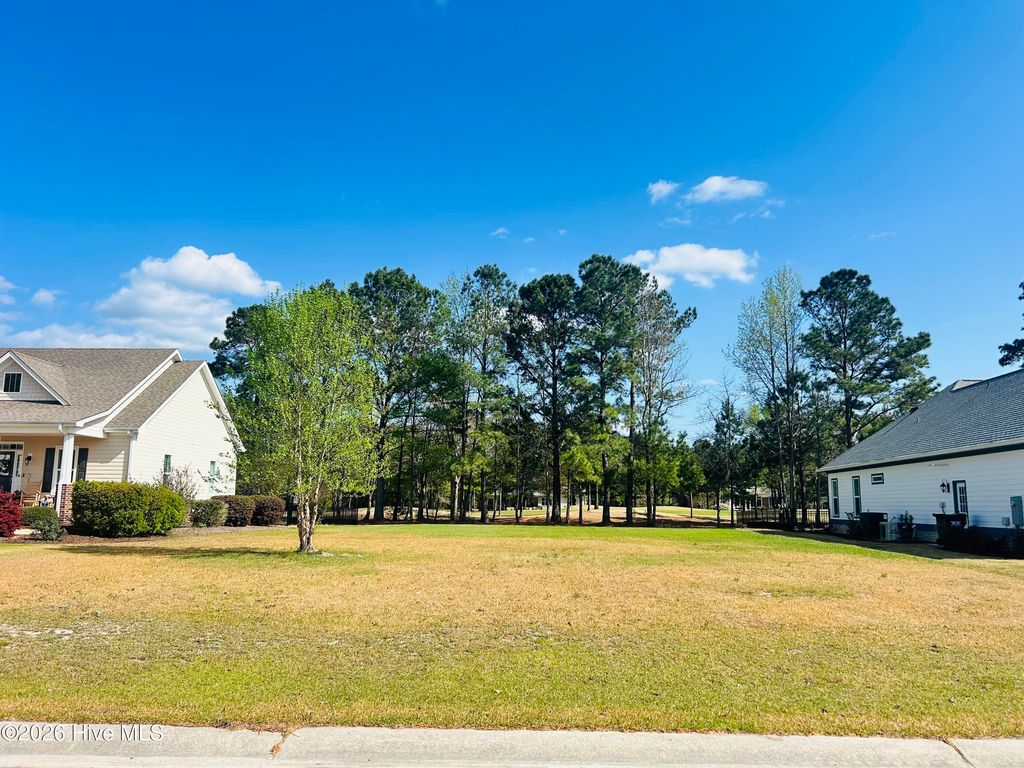 Photo of 132 Falls Landing Way, Wallace, NC 28466 (MLS # 100564456)