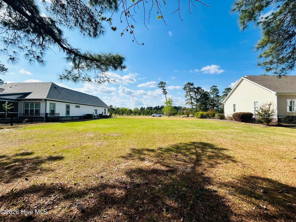 Photo of 132 Falls Landing Way, Wallace, NC 28466 (MLS # 100564456)