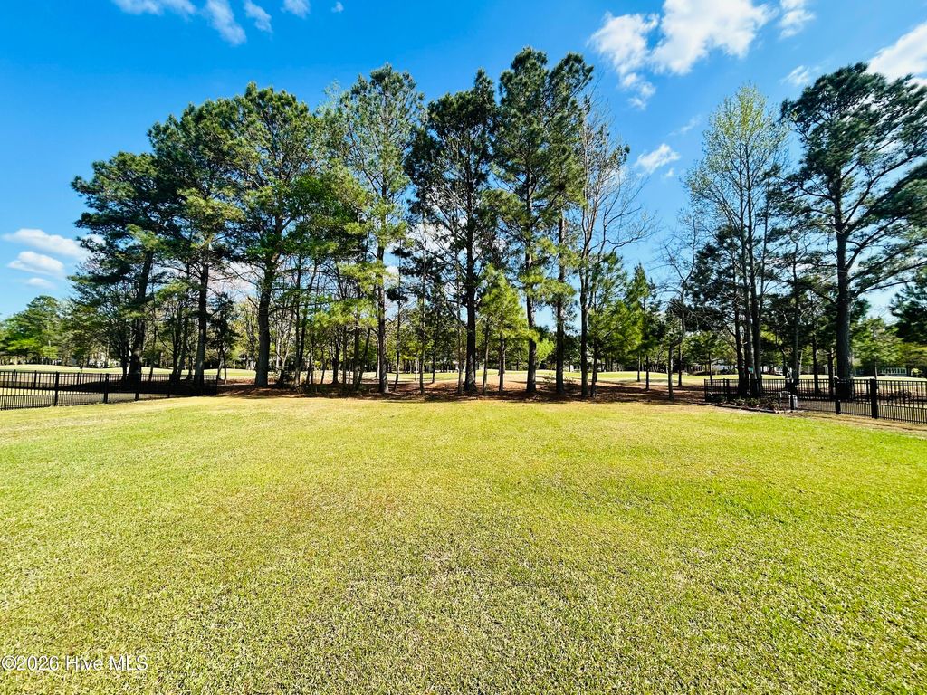 Photo of 132 Falls Landing Way, Wallace, NC 28466 (MLS # 100564456)