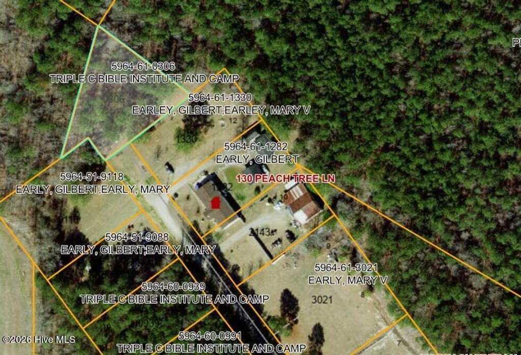 Photo of 0 Peach Tree Lane, Ahoskie, NC 27910 (MLS # 100554685)