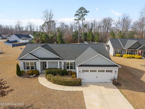 Photo of 135 Waterford Way, Maysville, NC 28555 (MLS # 100551393)