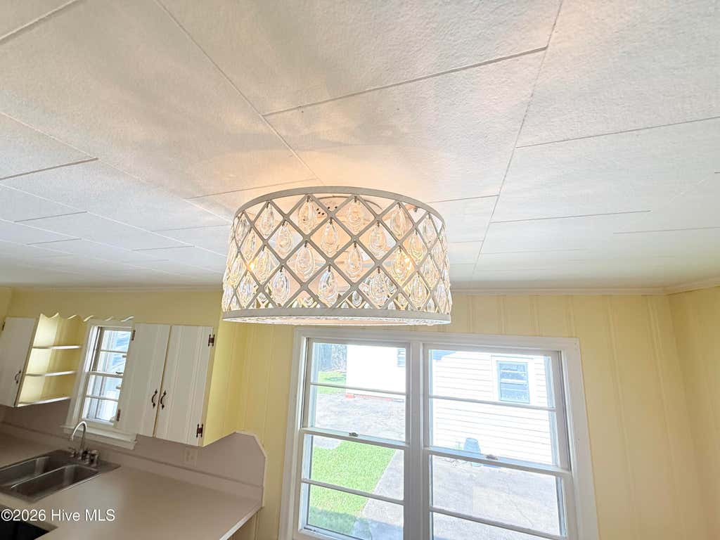 Photo of 501 N Chestnut Street, Mount Olive, NC 28365 (MLS # 100597498)