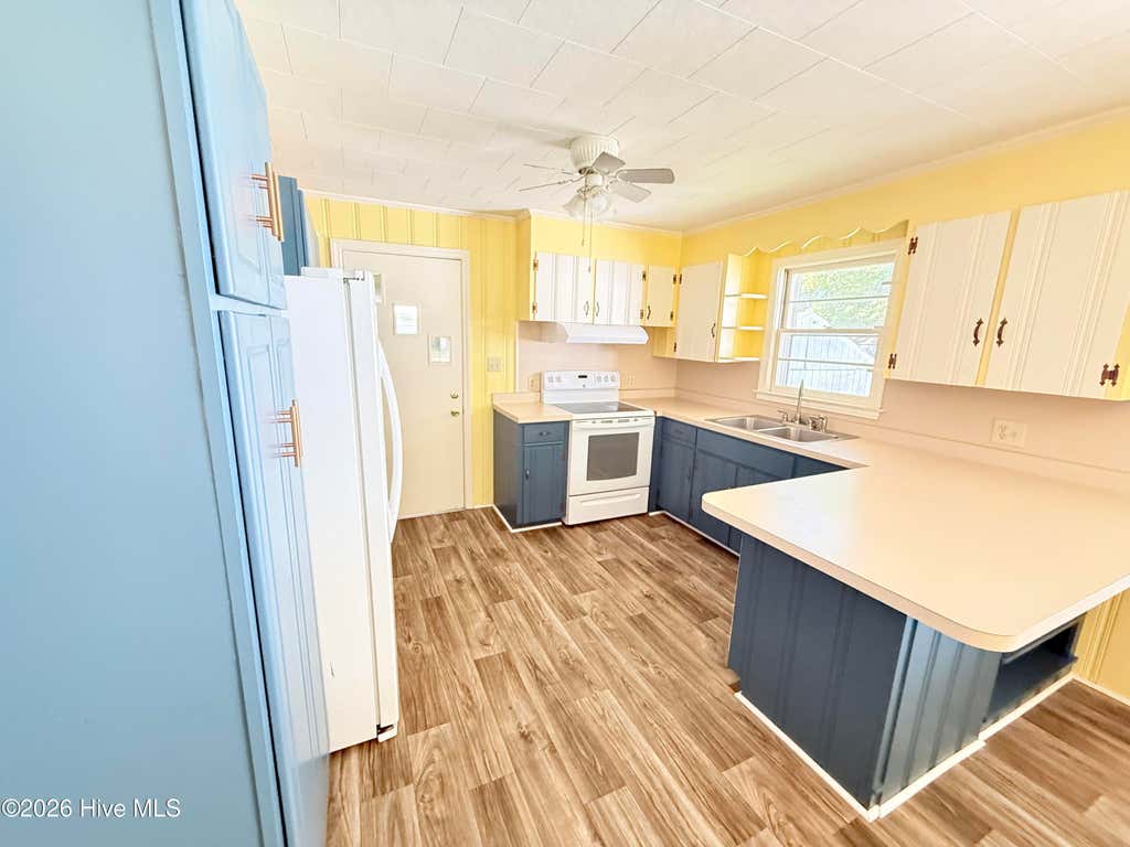 Photo of 501 N Chestnut Street, Mount Olive, NC 28365 (MLS # 100597498)
