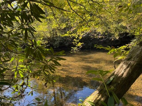 Vacant Land For Sale - LOT 73 Turkey Walk Drive<br/> Marble, NC 28905