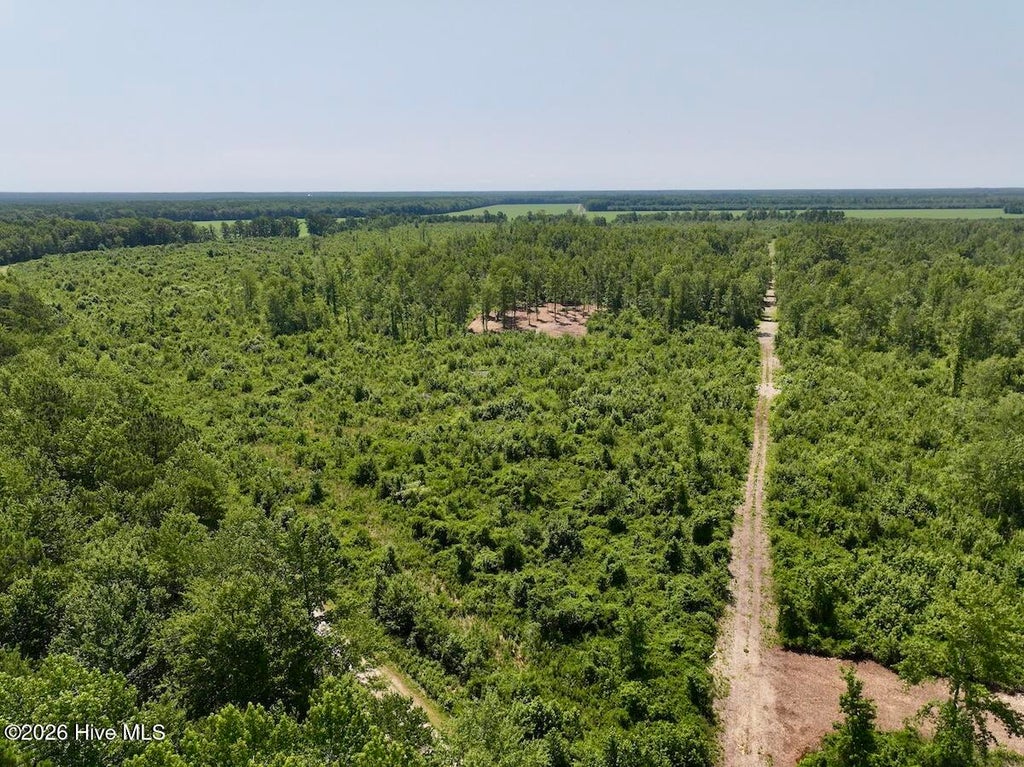 Photo of 0 Guinea Mill Road, Ernul, NC 28527 (MLS # 100587076)