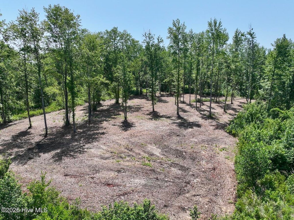 Photo of 0 Guinea Mill Road, Ernul, NC 28527 (MLS # 100587076)