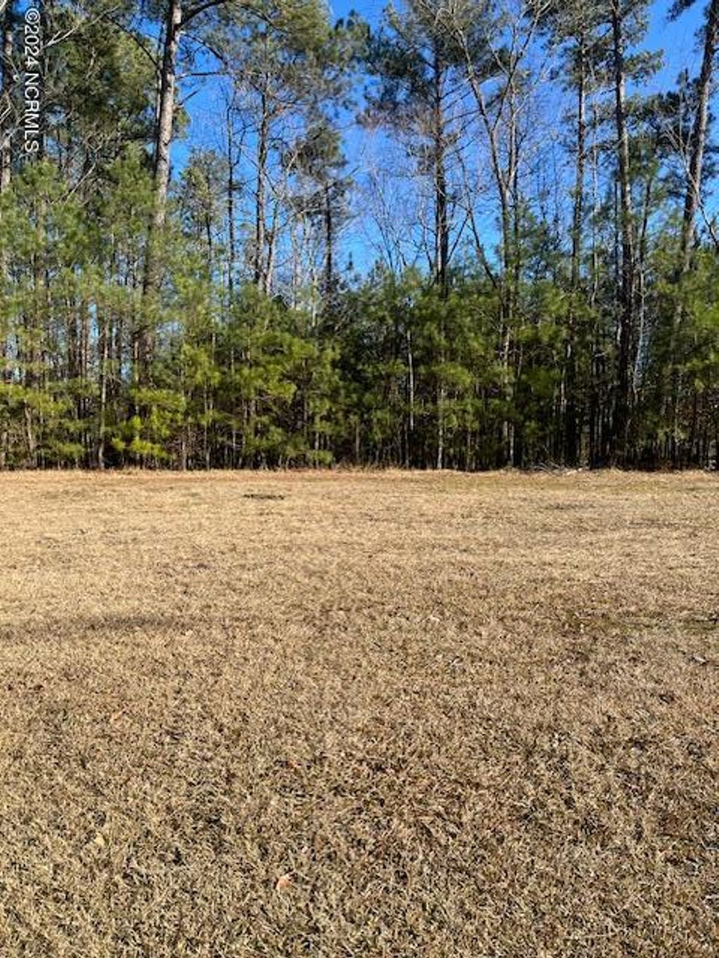 Photo of 44 Formby, Rocky Mount, NC 27804 (MLS # 100422935)