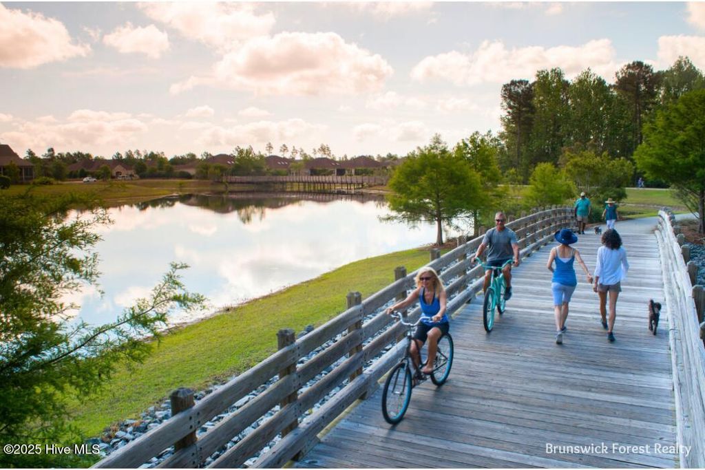 Photo of 4413 Fantail Drive, Leland, NC 28451 (MLS # 100544547)