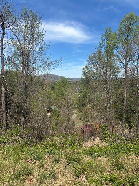 Vacant Land For Sale - 200 Carolina Fox Circle<br/> Murphy, NC 28906