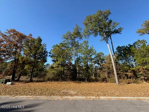 Vacant Land For Sale - 3777 River Park Way<br/> Leland, NC 28451