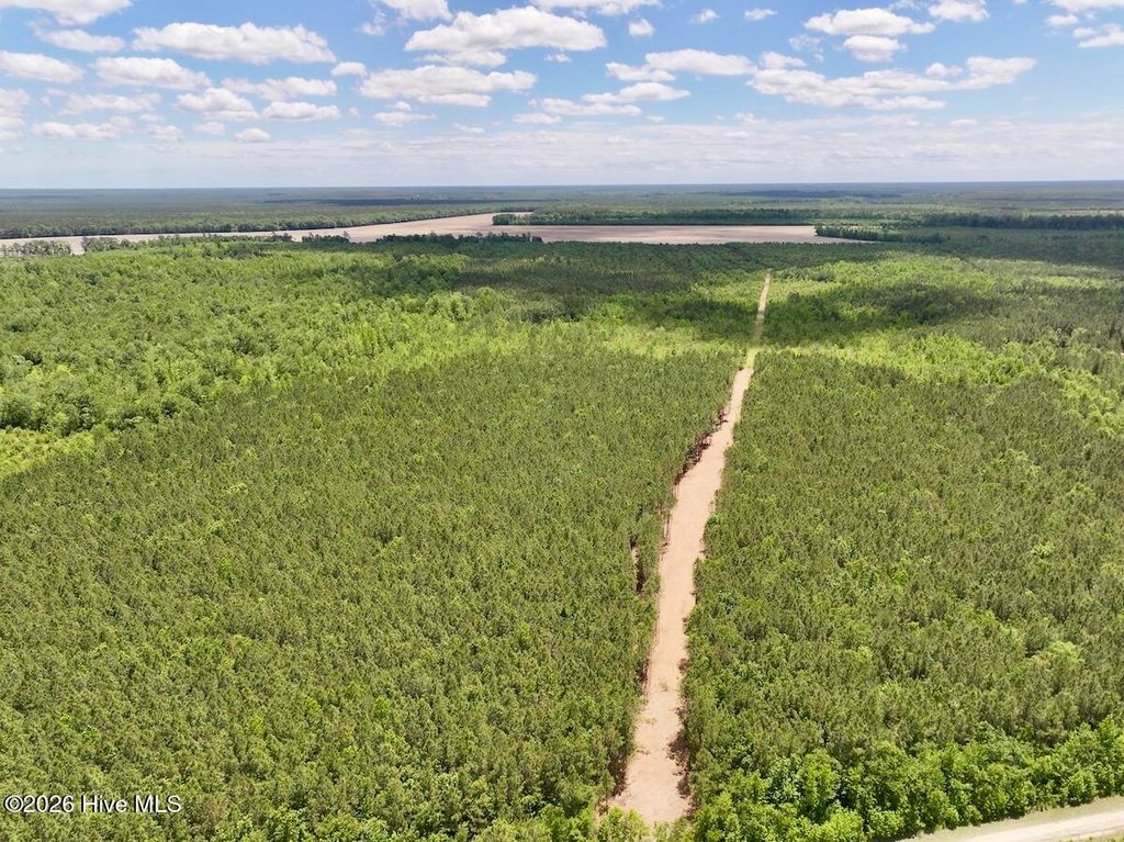 Photo of 0 Guinea Mill 530 Road, Ernul, NC 28527 (MLS # 100574705)
