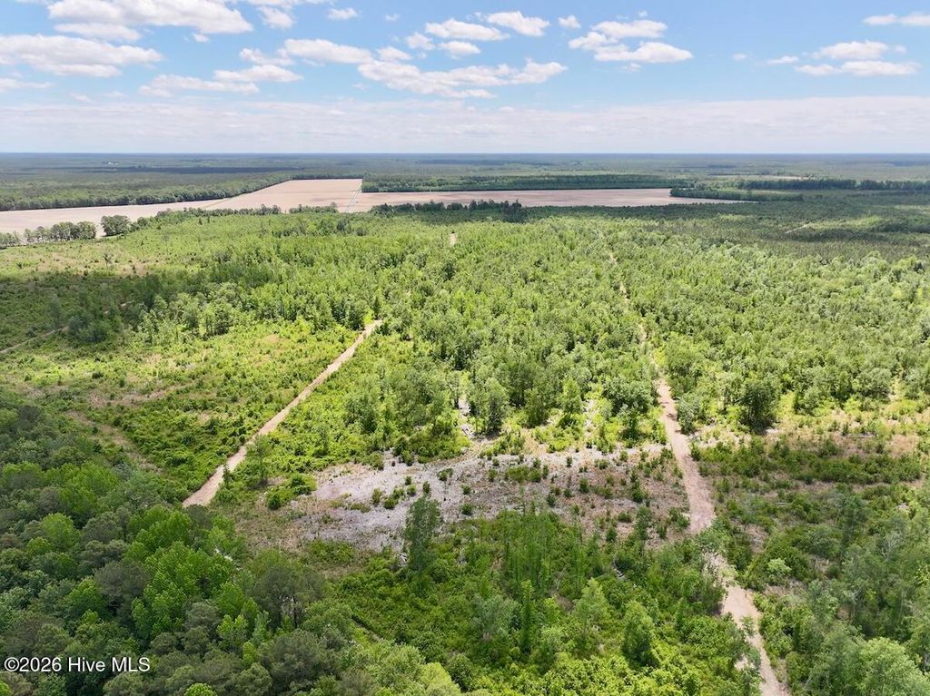 Photo of 0 Guinea Mill 530 Road, Ernul, NC 28527 (MLS # 100574705)
