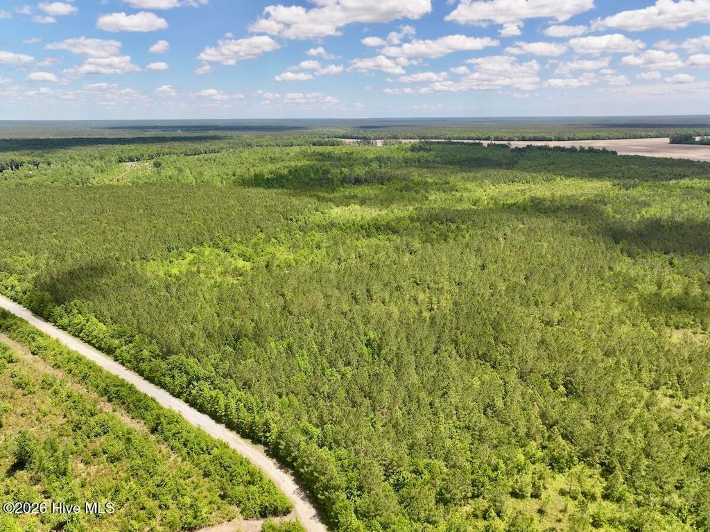 Photo of 0 Guinea Mill 530 Road, Ernul, NC 28527 (MLS # 100574705)
