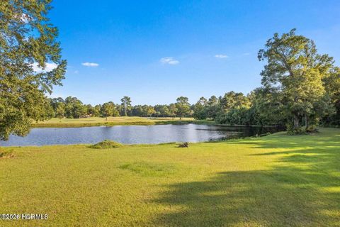Tiny photo for 994 Montgomery Court NW, Calabash, NC 28467 (MLS # 100577019)
