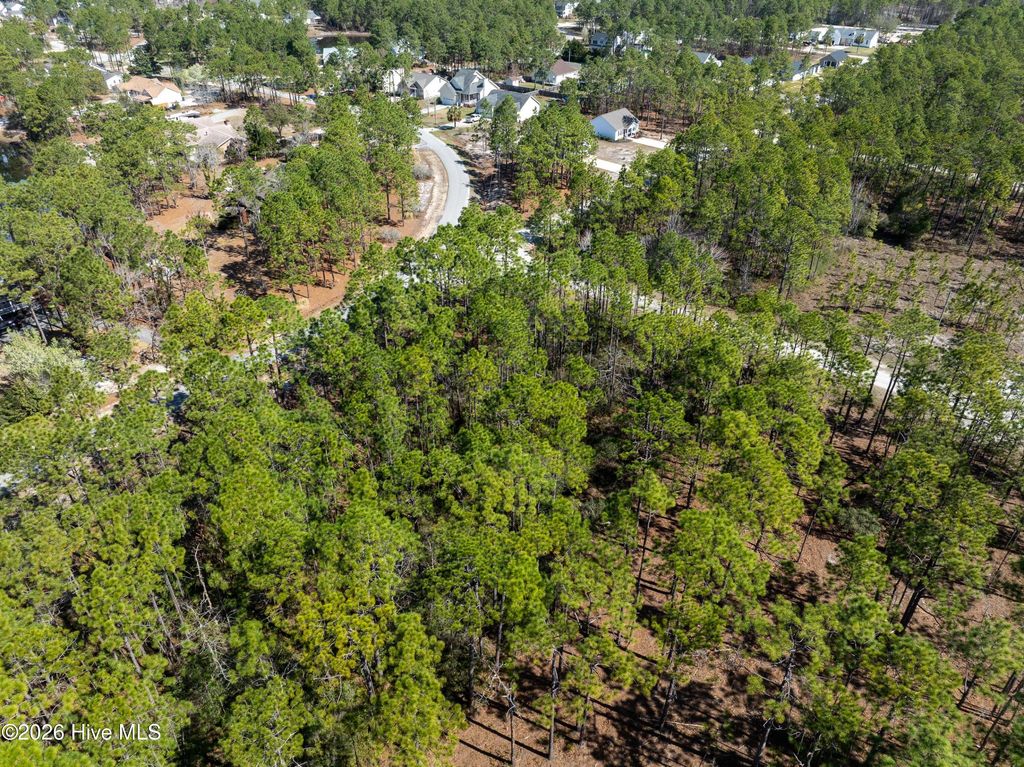 Photo of 0 Monroe Road, Boiling Spring Lakes, NC 28461 (MLS # 100574739)