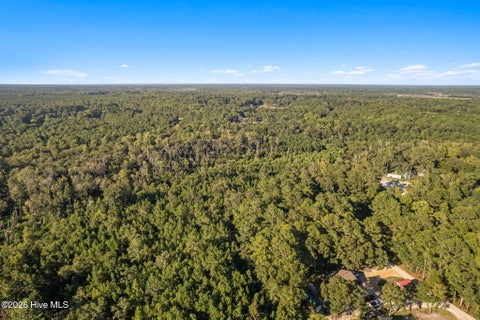 Tiny photo for 0 Trap Street SW, Supply, NC 28462 (MLS # 100602606)