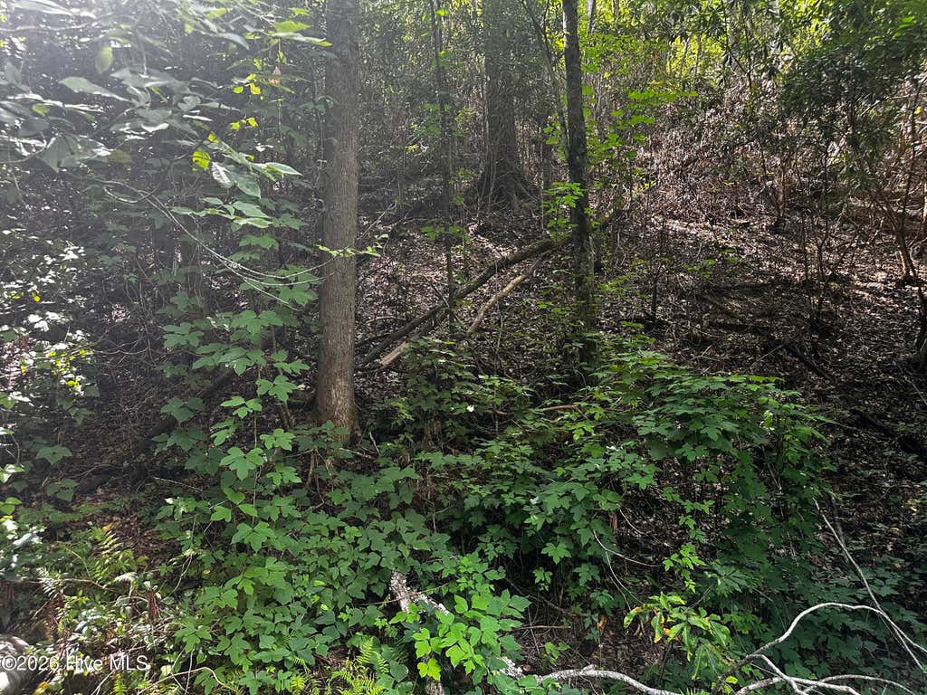 Photo of 2710 Junaluska Road, Andrews, NC 28901 (MLS # 100598764)