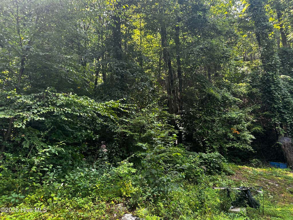Photo of 2710 Junaluska Road, Andrews, NC 28901 (MLS # 100598764)