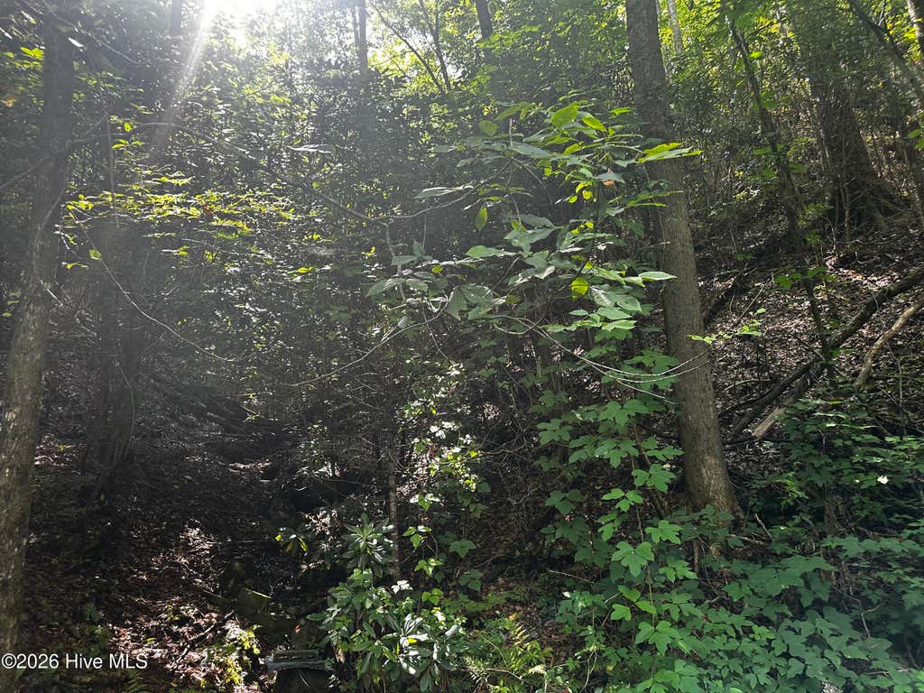 Photo of 2710 Junaluska Road, Andrews, NC 28901 (MLS # 100598764)