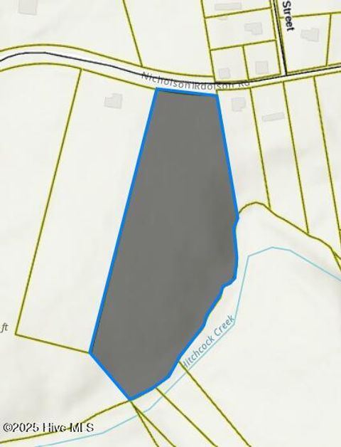 Vacant Land For Sale - TBD Nicholson Road<br/> Rockingham, NC 28379
