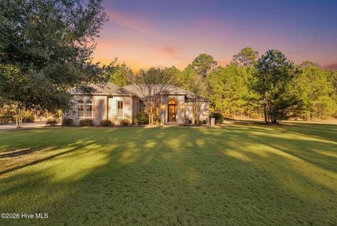 Photo of 185 Cellars Way, Wallace, NC 28466 (MLS # 100547396)