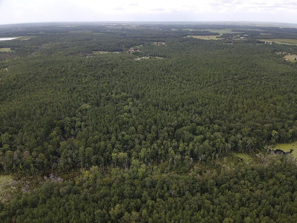 Photo of Tbd Johnston Highway, Trenton, SC 29847 (MLS # 553288)