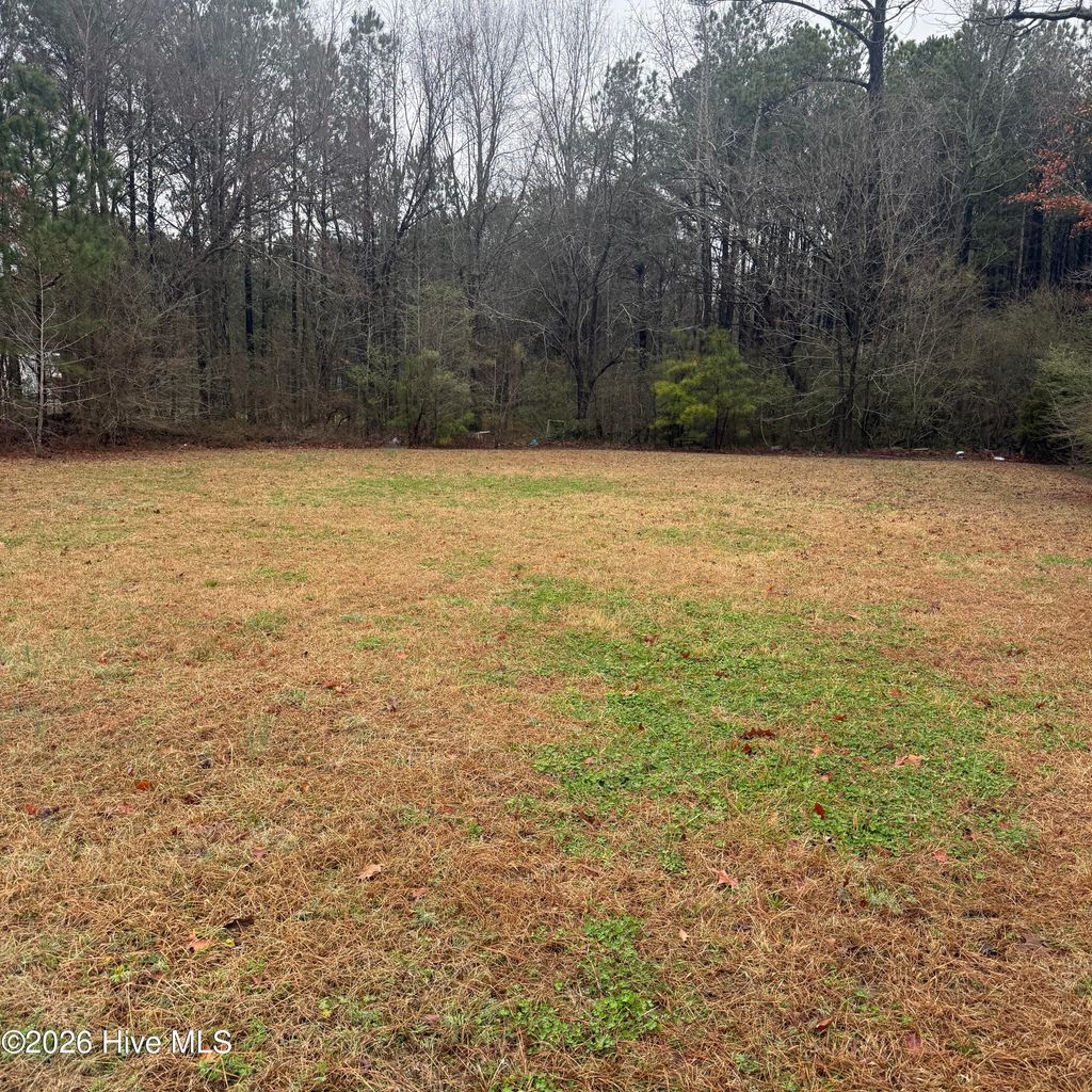 Photo of 113 Center Hill Road, Tyner, NC 27980 (MLS # 100559725)