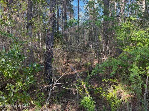 Tiny photo for 0 Mcgowan Road, Jacksonville, NC 28540 (MLS # 100590759)