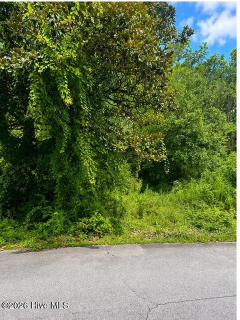 Tiny photo for 110 Darden Street, Jacksonville, NC 28540 (MLS # 100594492)
