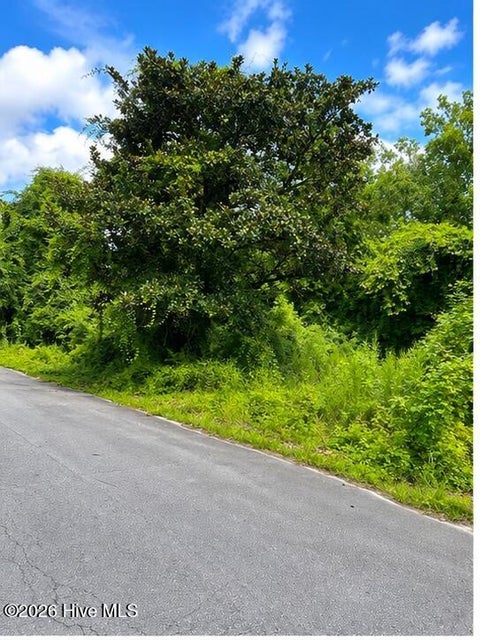 Tiny photo for 110 Darden Street, Jacksonville, NC 28540 (MLS # 100594492)