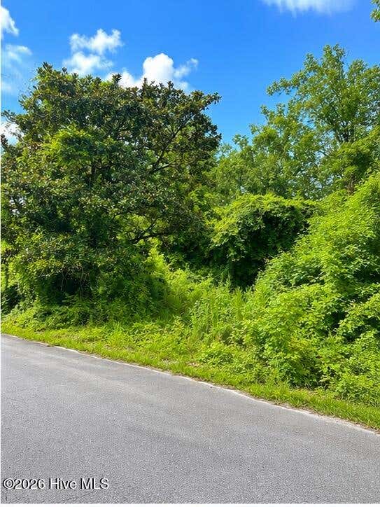 Photo of 110 Darden Street, Jacksonville, NC 28540 (MLS # 100594492)
