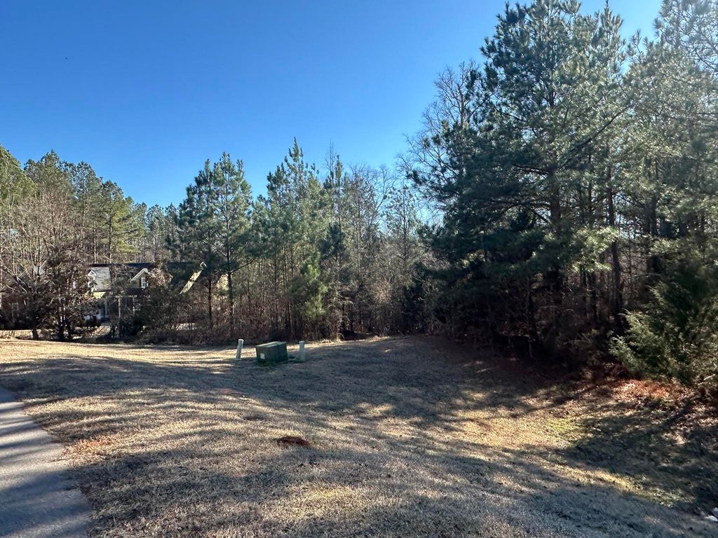 Photo of 781 William Avenue, Appling, GA 30802 (MLS # 551877)