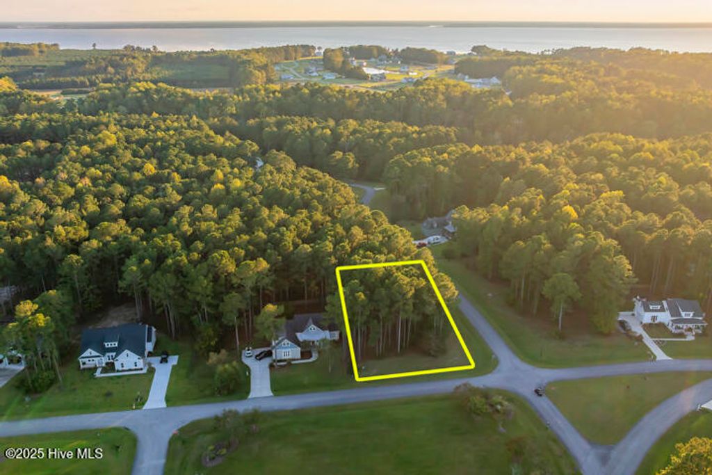 Photo of 68 Wild Swan Lane, Minnesott Beach, NC 28510 (MLS # 100537561)