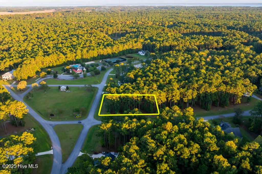 Photo of 68 Wild Swan Lane, Minnesott Beach, NC 28510 (MLS # 100537561)