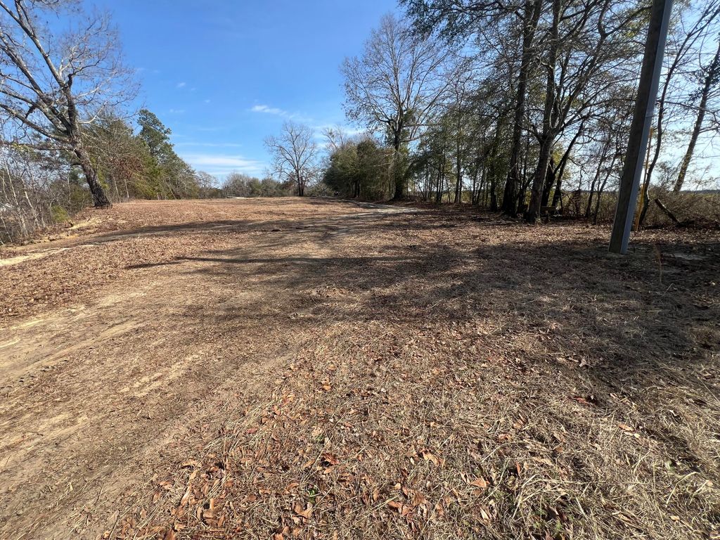 Photo of 4539 Lewis Church Road, Millen, GA 30442 (MLS # 552000)