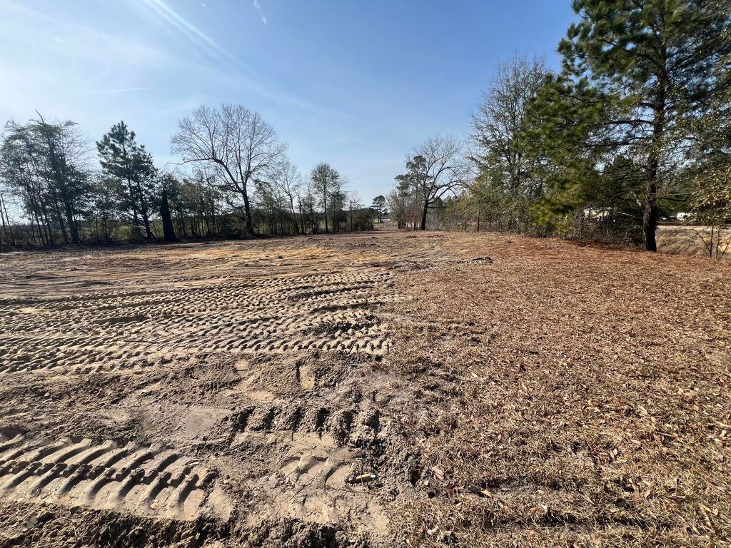 Photo of 4539 Lewis Church Road, Millen, GA 30442 (MLS # 552000)