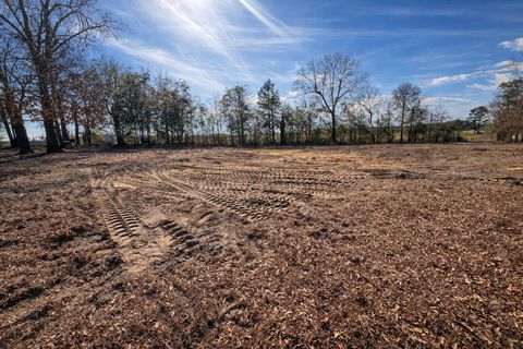 Vacant Land For Sale - 4539 Lewis Church Road<br/> Jenkins County, Millen, GA 30442