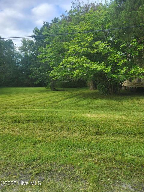 Vacant Land For Sale - 1 LOT N/S Pungo Parcel #29832 Street<br/> Belhaven, NC 27810