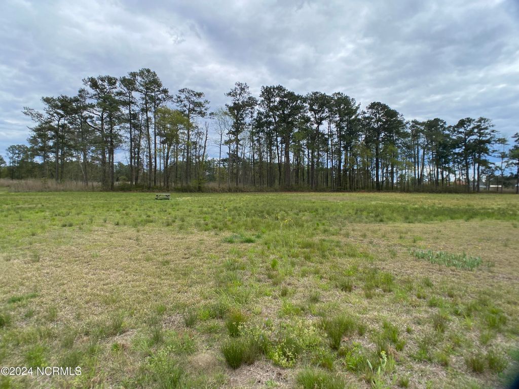 Photo of 276 N Pointe Drive, Belhaven, NC 27810 (MLS # 100437112)