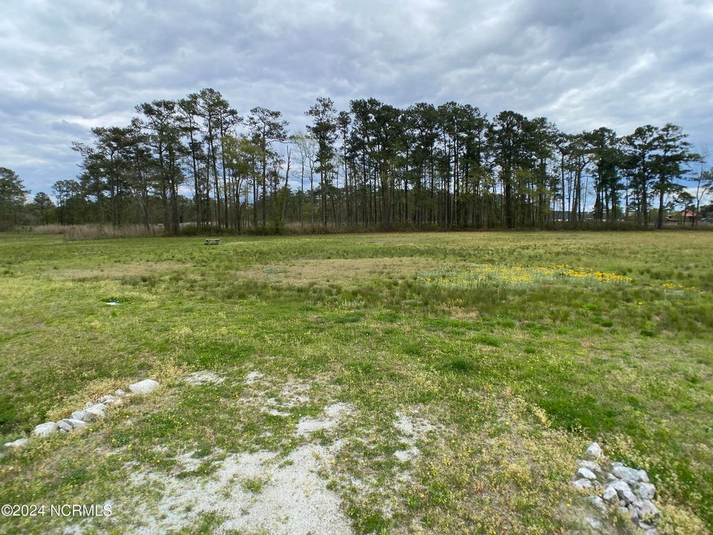 Photo of 276 N Pointe Drive, Belhaven, NC 27810 (MLS # 100437112)