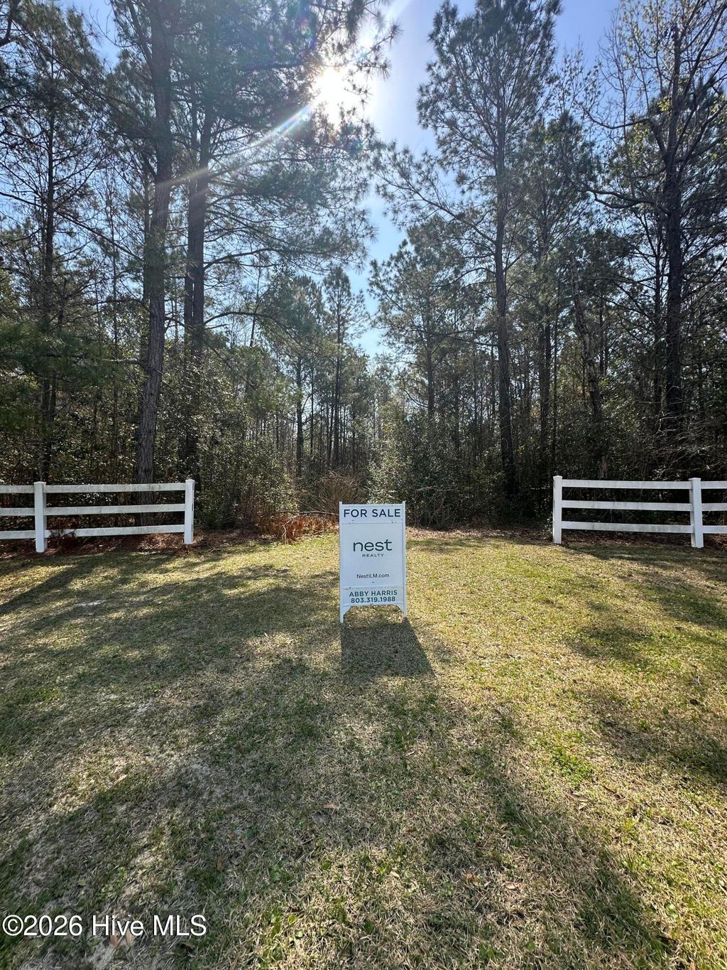 Photo of 7096 White Bridge Lane SE, Leland, NC 28451 (MLS # 100563580)