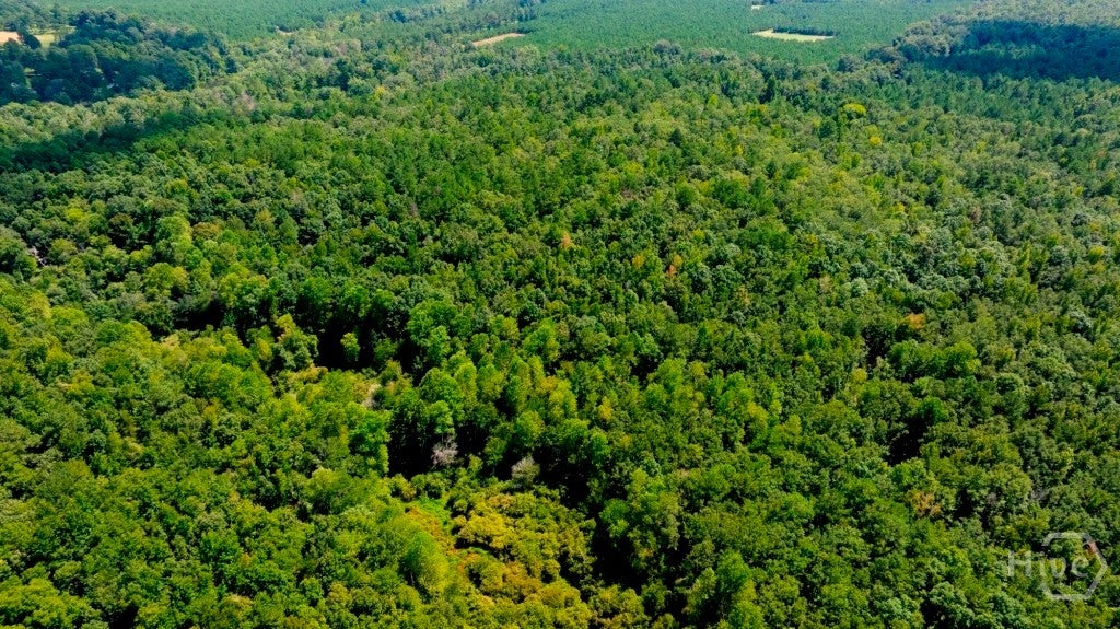 Photo of 3480 GA Hwy 56 N, Waynesboro, GA 30830 (MLS # SA364185)